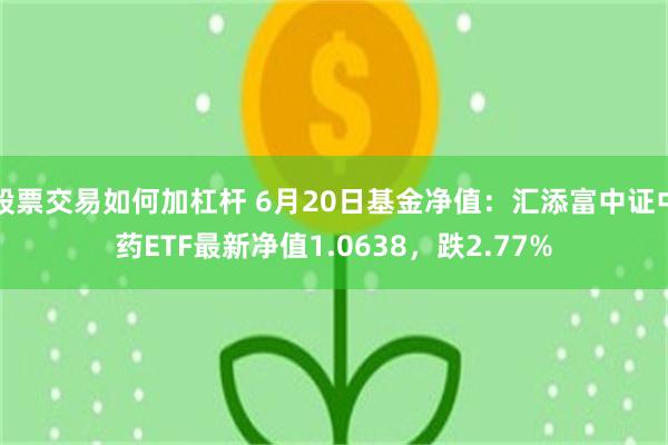 股票交易如何加杠杆 6月20日基金净值：汇添富中证中药ETF最新净值1.0638，跌2.77%