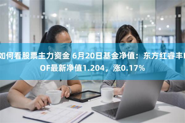 如何看股票主力资金 6月20日基金净值：东方红睿丰LOF