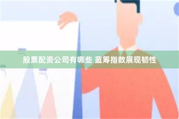 股票配资公司有哪些 蓝筹指数展现韧性