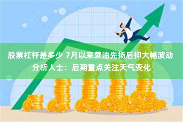 股票杠杆是多少 7月以来菜油先扬后抑大幅波动 分析人士：后期重点关注天气变化