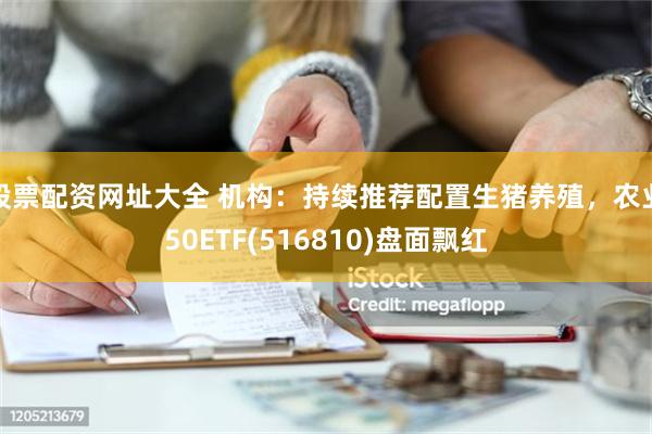 股票配资网址大全 机构：持续推荐配置生猪养殖，农业50ETF(516810)盘面飘红