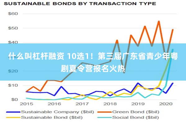 什么叫杠杆融资 10选1！第三届广东省青少年粤剧夏令营报名火热