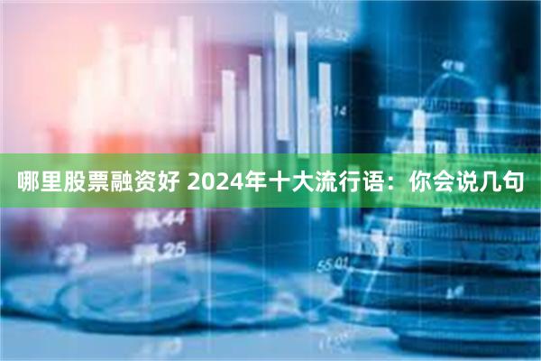 哪里股票融资好 2024年十大流行语：你会说几句